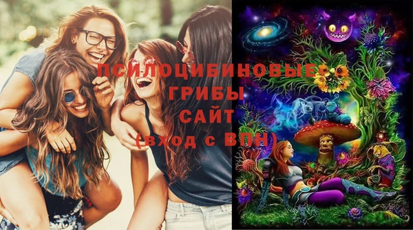 Альфа ПВП Балахна