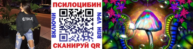 Псилоцибиновые грибы Psilocybe Горячеводский